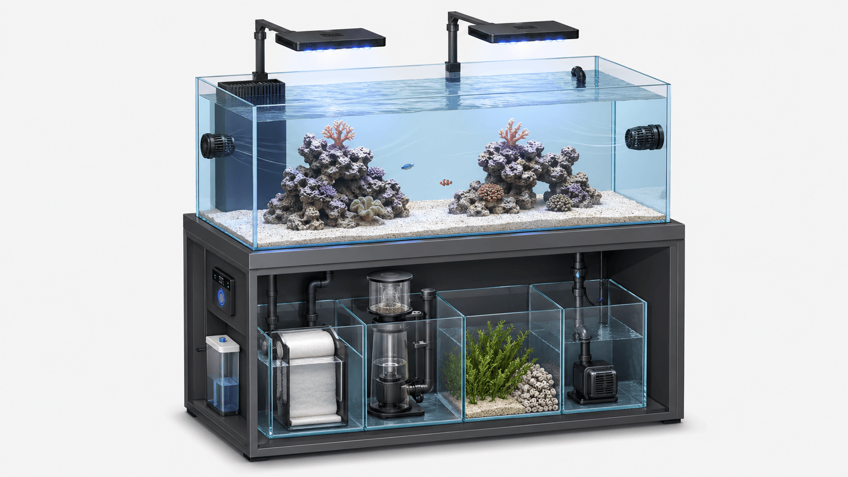 Illustrated reef aquarium build with display tank, sump, skimmer, lights, and flow pumps.